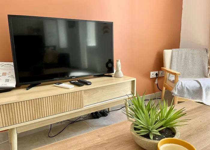 Le Riquet - Jardin Prive, Clim, Rdc Apartman Castelnaudary